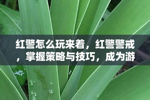 红警怎么玩来着,红警警戒,掌握策略与技巧,成为游戏高手 红警怎么玩来着,红警警戒,掌握策略与技巧,成为游戏高手