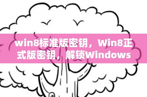 win8标准版密钥，Win8正式版密钥，解锁Windows 8的密钥与安装指南