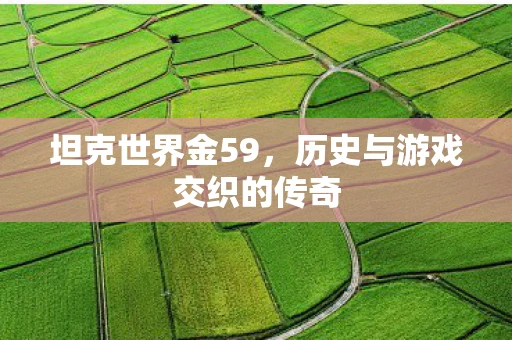 坦克世界金59,历史与游戏交织的传奇 坦克世界金59,历史与游戏交织的传奇