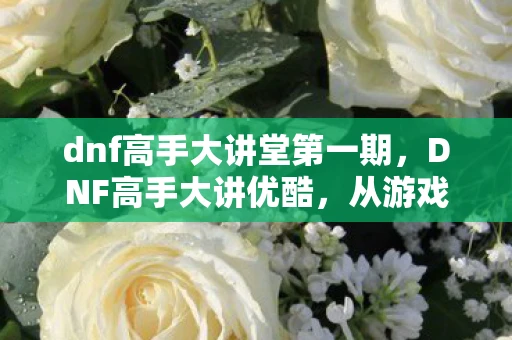 dnf高手大讲堂第一期，DNF高手大讲优酷，从游戏到视频的跨界融合