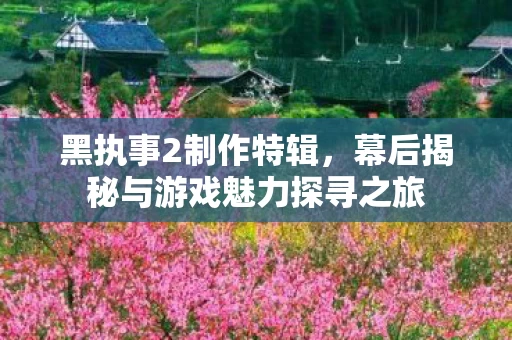 幕后揭秘与游戏魅力探寻之旅图片