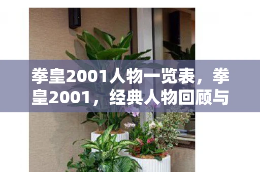 拳皇2001人物一览表，拳皇2001，经典人物回顾与解析