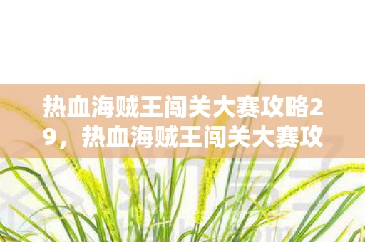 热血海贼王闯关大赛攻略29，热血海贼王闯关大赛攻略，成为最强海贼的必经之路