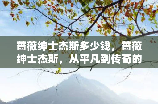 蔷薇绅士杰斯多少钱，蔷薇绅士杰斯，从平凡到传奇的蜕变