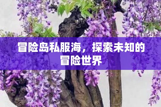 探索未知的冒险世界图片