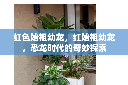 红色始祖幼龙,红始祖幼龙,恐龙时代的奇妙探索 红色始祖幼龙,红始祖幼龙,恐龙时代的奇妙探索