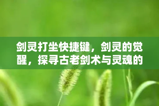 剑灵打坐快捷键，剑灵的觉醒，探寻古老剑术与灵魂的奥秘