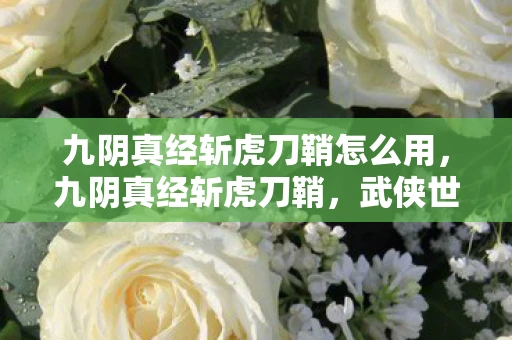九阴真经斩虎刀鞘怎么用，九阴真经斩虎刀鞘，武侠世界中的神秘宝物