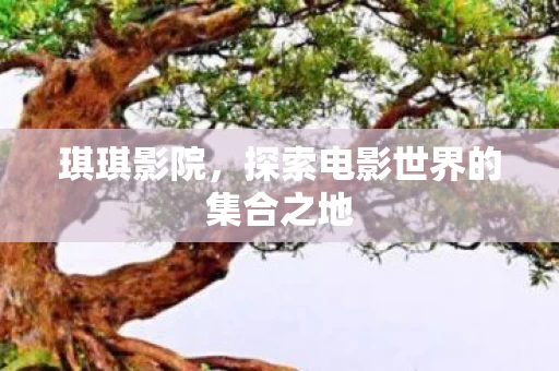 探索电影世界的集合之地图片