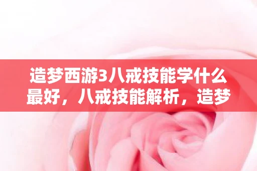 造梦西游3八戒技能学什么最好，八戒技能解析，造梦西游3中的战斗利器