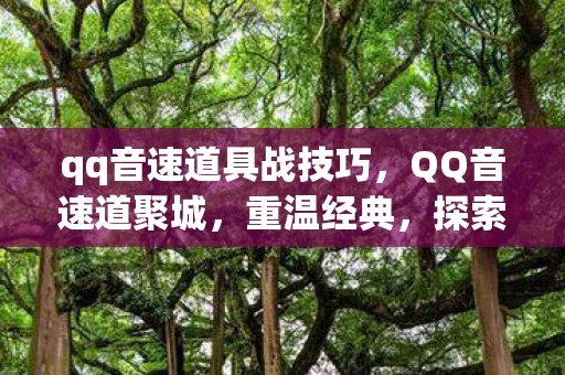 qq音速道具战技巧，QQ音速道聚城，重温经典，探索音乐与速度的无限可能