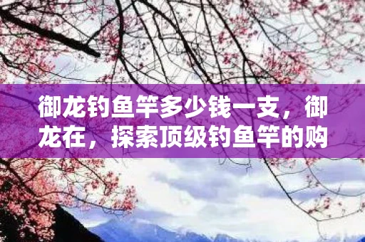 御龙钓鱼竿多少钱一支，御龙在，探索顶级钓鱼竿的购买指南