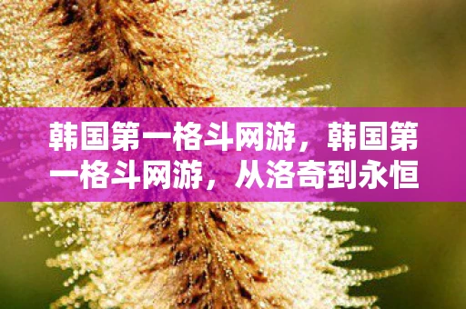 韩国第一格斗网游，韩国第一格斗网游，从洛奇到永恒之塔的传奇之路