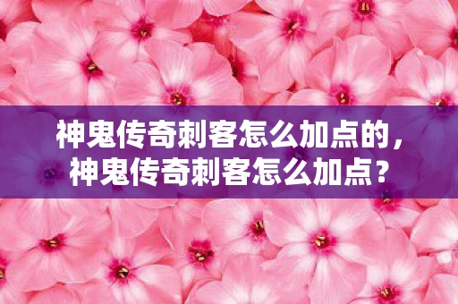神鬼传奇刺客怎么加点的，神鬼传奇刺客怎么加点？