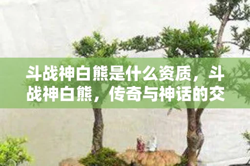 斗战神白熊是什么资质，斗战神白熊，传奇与神话的交织