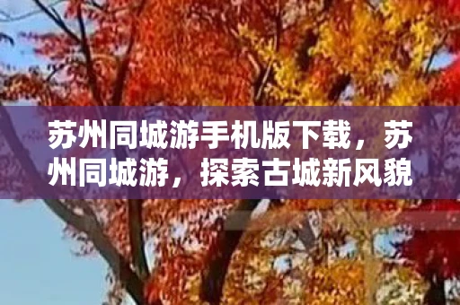 苏州同城游手机版下载，苏州同城游，探索古城新风貌的必备神器