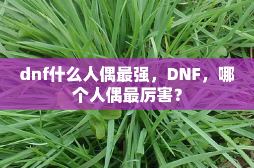dnf什么人偶最强，DNF，哪个人偶最厉害？