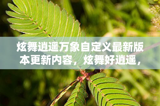 炫舞逍遥万象自定义最新版本更新内容，炫舞好逍遥，解锁生活新乐趣