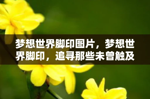 梦想世界脚印图片，梦想世界脚印，追寻那些未曾触及的远方