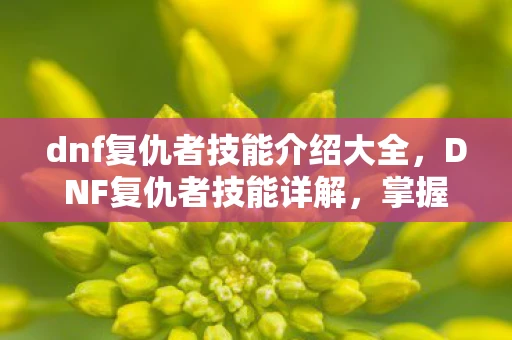 dnf复仇者技能介绍大全，DNF复仇者技能详解，掌握黑暗力量的神秘职业