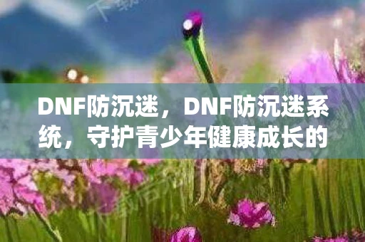 DNF防沉迷，DNF防沉迷系统，守护青少年健康成长的数字防线