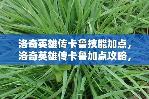 洛奇英雄传卡鲁技能加点，洛奇英雄传卡鲁加点攻略，打造最强战斗力的关键