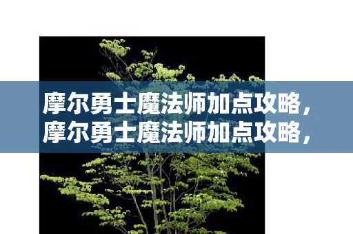 摩尔勇士魔法师加点攻略，摩尔勇士魔法师加点攻略，打造最强法师的秘诀
