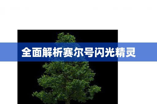 全面解析赛尔号闪光精灵图片