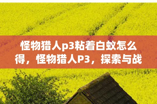 怪物猎人p3粘着白蚁怎么得，怪物猎人P3，探索与战斗中的粘着白蚁