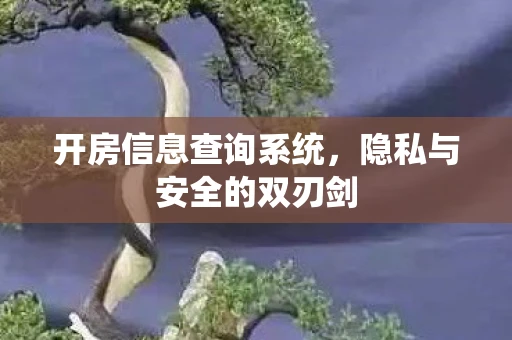 开房信息查询系统，隐私与安全的双刃剑