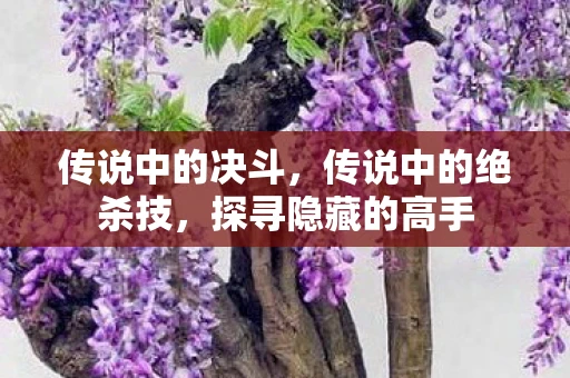 传说中的决斗，传说中的绝杀技，探寻隐藏的高手