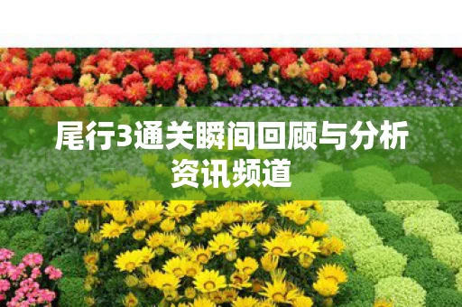 尾行3通关瞬间回顾与分析资讯频道图片