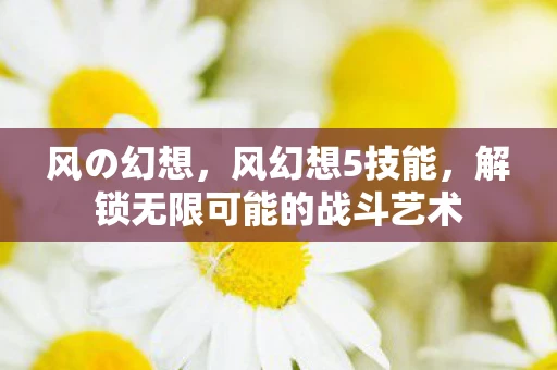 风の幻想，风幻想5技能，解锁无限可能的战斗艺术