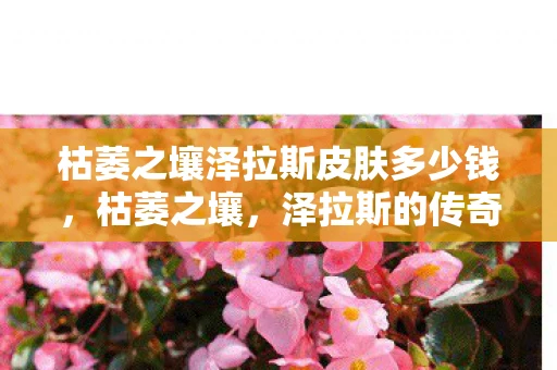 枯萎之壤泽拉斯皮肤多少钱，枯萎之壤，泽拉斯的传奇与谜团