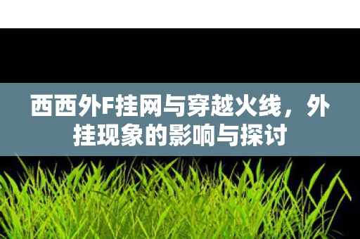 西西外F挂网与穿越火线图片