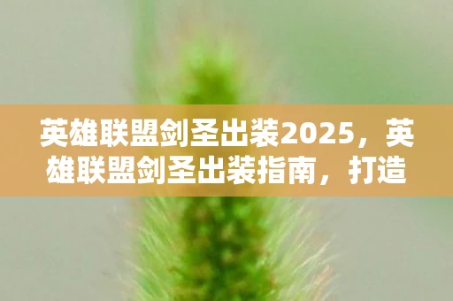 英雄联盟剑圣出装2025,英雄联盟剑圣出装指南,打造无敌剑舞 英雄联盟剑圣出装2025,英雄联盟剑圣出装指南,打造无敌剑舞