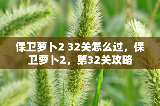 保卫萝卜2 32关怎么过，保卫萝卜2，第32关攻略