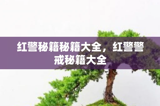 红警秘籍秘籍大全,红警警戒秘籍大全 红警秘籍秘籍大全,红警警戒秘籍大全