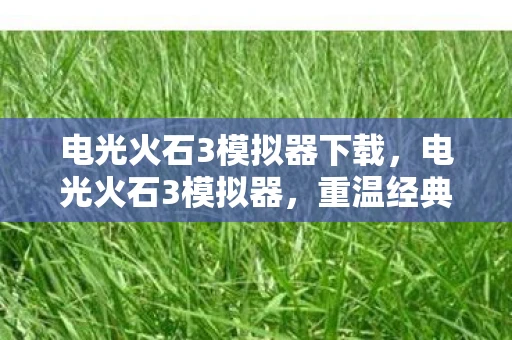电光火石3模拟器下载，电光火石3模拟器，重温经典街机游戏的绝佳选择