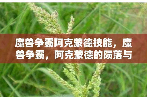 魔兽争霸阿克蒙德技能，魔兽争霸，阿克蒙德的陨落与传奇