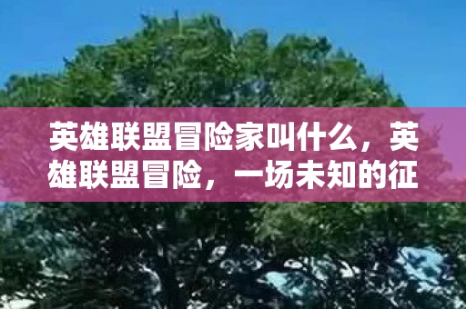 英雄联盟冒险家叫什么，英雄联盟冒险，一场未知的征途