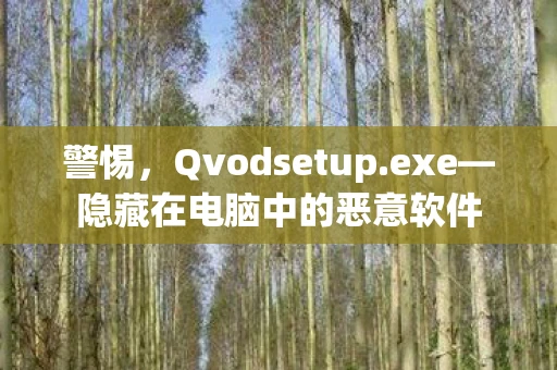 警惕，Qvodsetup.exe—隐藏在电脑中的恶意软件
