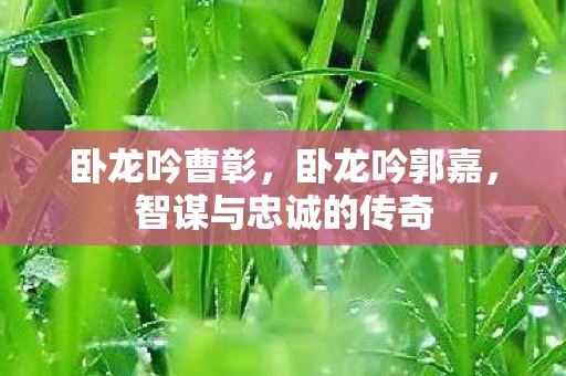 卧龙吟曹彰，卧龙吟郭嘉，智谋与忠诚的传奇