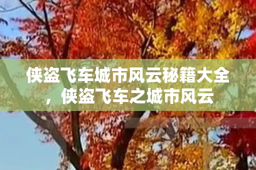 侠盗飞车城市风云秘籍大全，侠盗飞车之城市风云