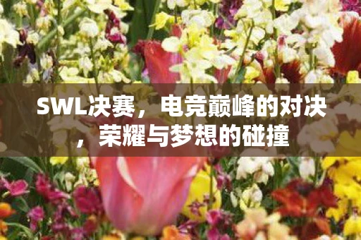 SWL决赛，电竞巅峰的对决，荣耀与梦想的碰撞