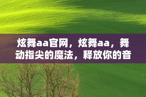 炫舞aa官网，炫舞aa，舞动指尖的魔法，释放你的音乐灵魂