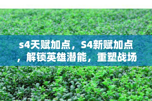 s4天赋加点，S4新赋加点，解锁英雄潜能，重塑战场格局