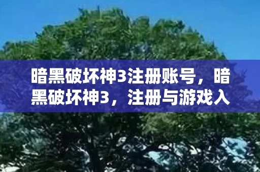 暗黑破坏神3注册账号图片