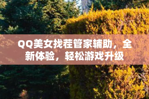 QQ美女找茬管家辅助图片
