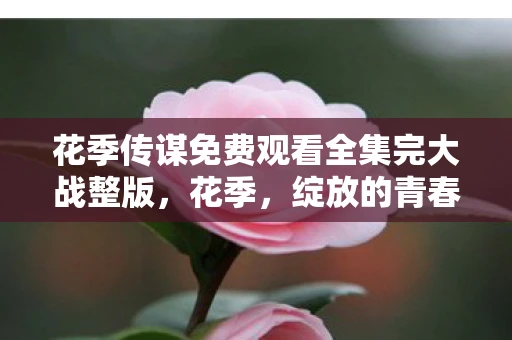 花季传谋免费观看全集完大战整版，花季，绽放的青春，无尽的希望